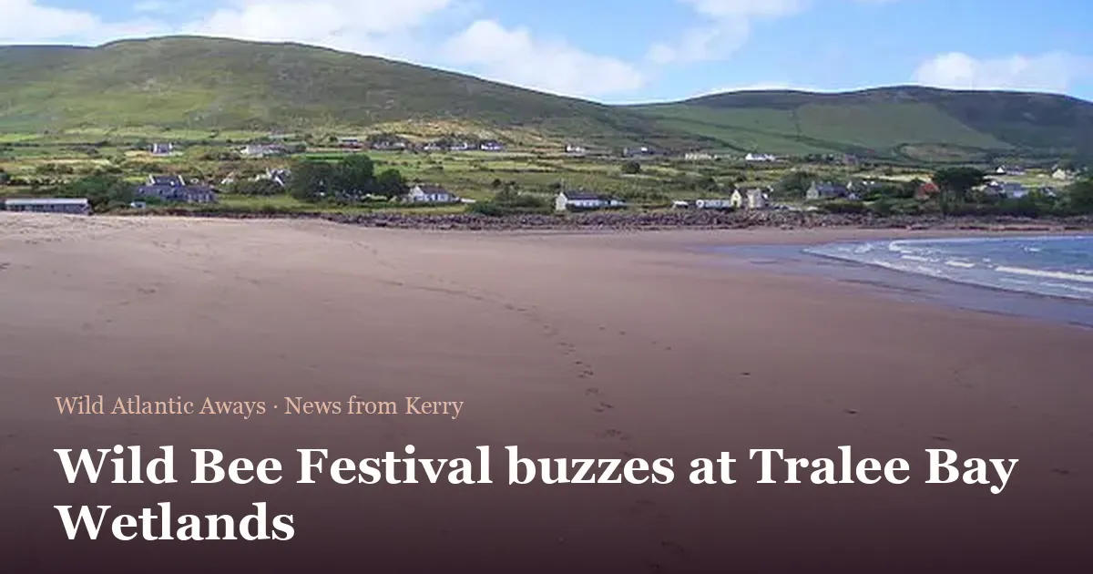 Wild Bee Festival buzzes at Tralee Bay Wetlands